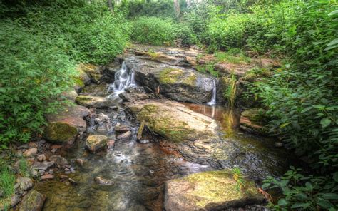 Wallpaper Landscape Waterfall River Valley Wilderness Jungle