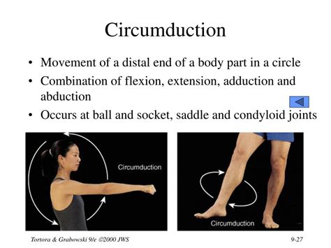 Ppt Chapter 9 Joints Powerpoint Presentation Free Download Id1703136