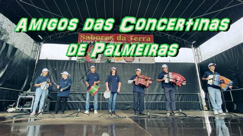 Amigos Das Concertinas De Palmeiras Encontro De Concertinas Escariz