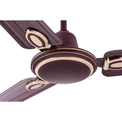 Orient Electric Delicia 1200 Mm 3 Blade Ceiling Fan Price In India