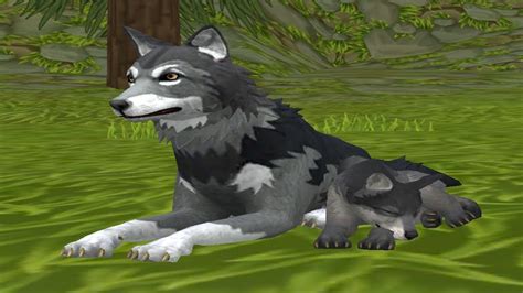 Wolf Simulator Wild Animals 3D