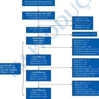 Flowchart of the MINA-Brazil birth cohort study since pregnancy to... | Download Scientific Diagram