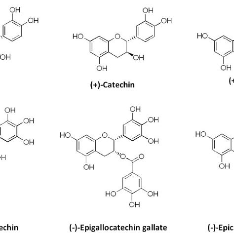 Basic structure of flavonoids. | Download Scientific Diagram