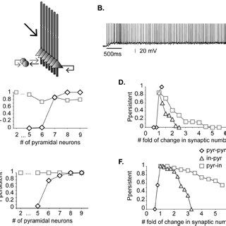 INMDA To IAMPA Ratio Controls Persistent Activity Induction A