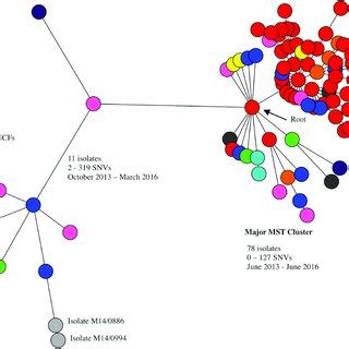 A Minimum Spanning Tree Based On Core Genome Multilocus Sequence Typing