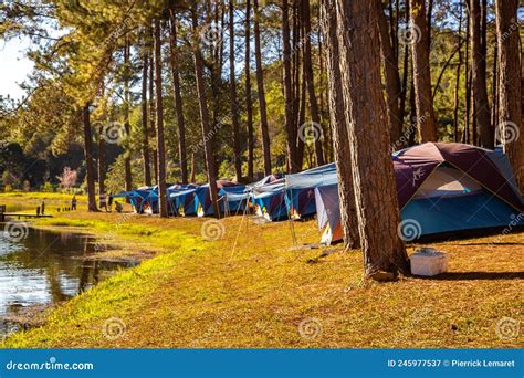 Lago De Parque Nacional Pang Oung Y Bosque De Pinos En Mae Hong Son