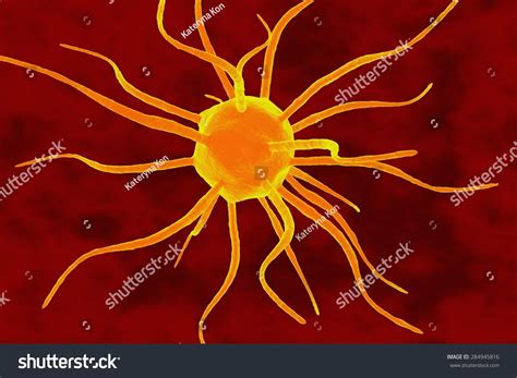 dimensional drawing tumor cell stock illustration