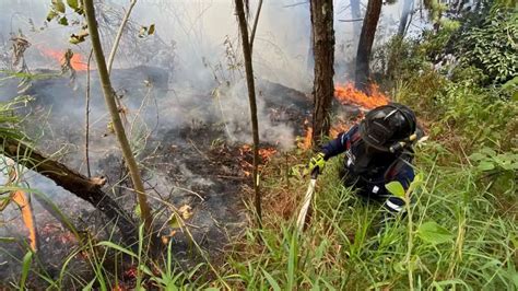 14 Incendios Forestales Activos En Diferentes Regiones De Colombia