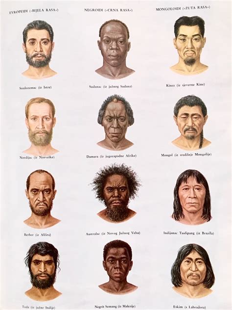 Lavandin Main Types Of Human Races From The Book Mali