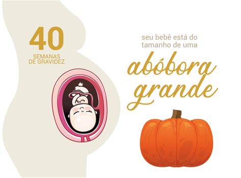 40 Semanas De Gravidez Blog Da Cordvida