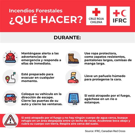 Incendios Forestales ¿qué Hacer Antes Durante Y Después Cruz Roja