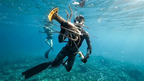 Spearfishing Giant Lobster In The Bahamas Catch And Cook Youtube