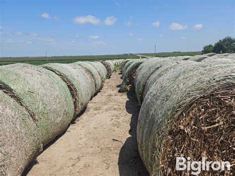 Corn Stalk Bales Bigiron Auctions