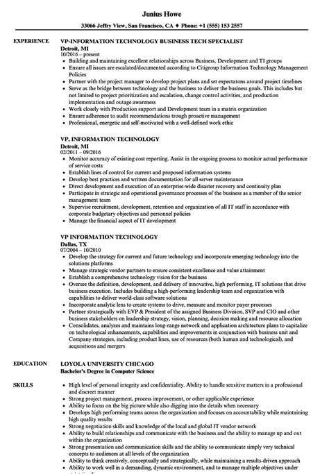 Vp Information Technology Resume Samples Velvet Jobs