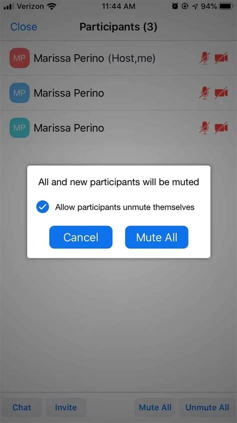 How to Mute and Unmute Microphone on Zoom | iPhone, Laptop - Techdim