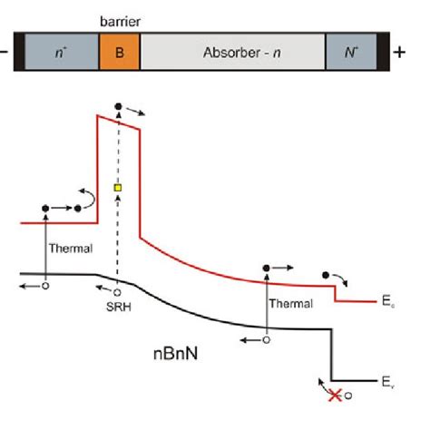 Schematic Band Diagrams Of A Reverse Biased P N Photodiode A And Nbn