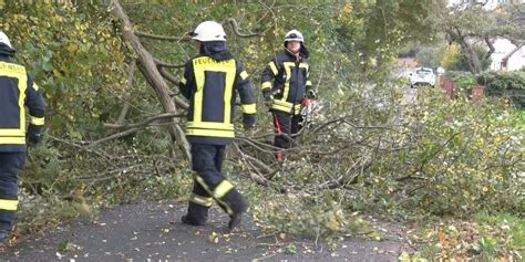 Amtliche Warnung vor Sturmböen in NRW Umgestürzte Bäume sorgen für