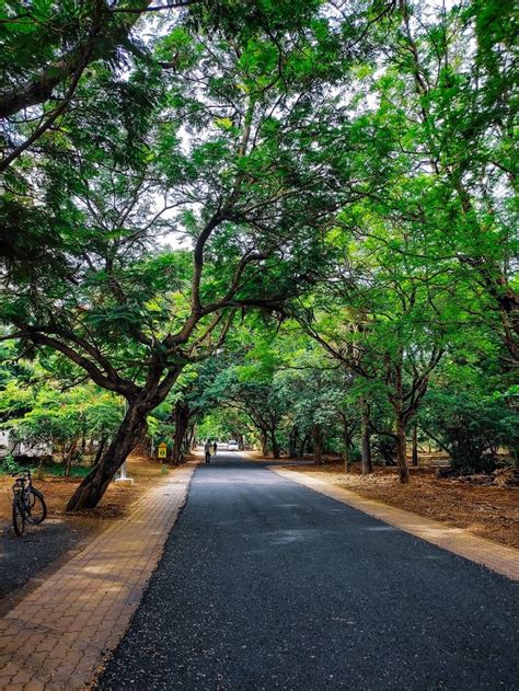 Guindy National Park | Empty road, National parks, Indian village