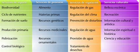 Desarrollo Sustentable 2 6 SERVICIOS AMBIENTALES