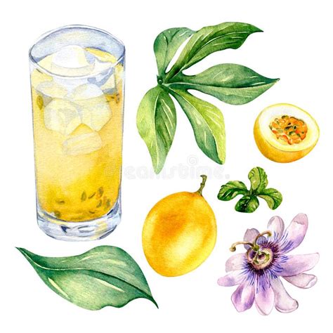 Set Of Passion Fruits Leaves And Smoothies Watercolor Illustration