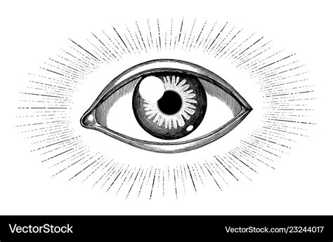 Human Eye With Rays Tattoo Hand Draw Vintage Vector Image