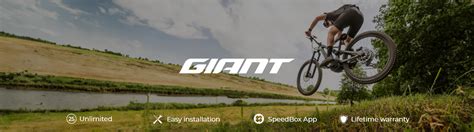 Puce De R Glage Speedbox Pour V Los Lectriques Giant Avec Moteurs Yamaha