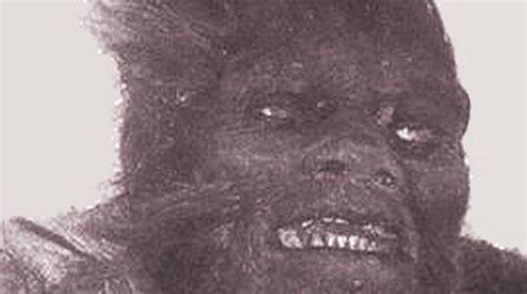 Almas - Wild Ape-man - Cryptids | Bigfoot pictures, Bigfoot photos, Bigfoot sightings