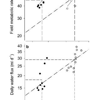 Loglog Plot Of Field Metabolic Rate Fmr Kj Day A And Daily