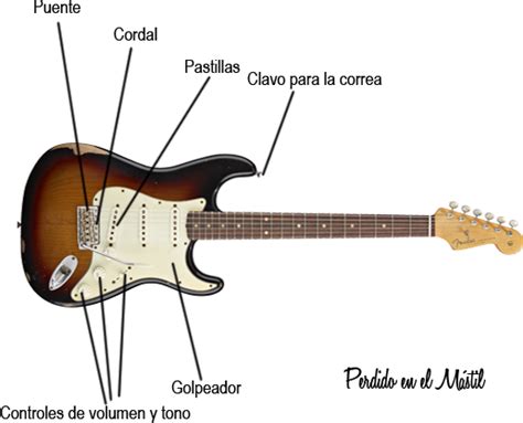 Download Partes De Una Guitarra Eléctrica Fender Stratocaster