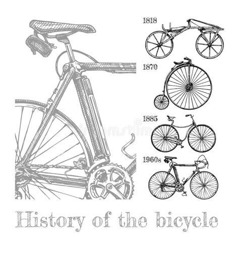 Sistema De La Evoluci N De La Bicicleta Ilustraci N Del Vector