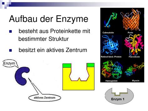 PPT Funktion Und Hemmung Von Enzymen PowerPoint Presentation Free