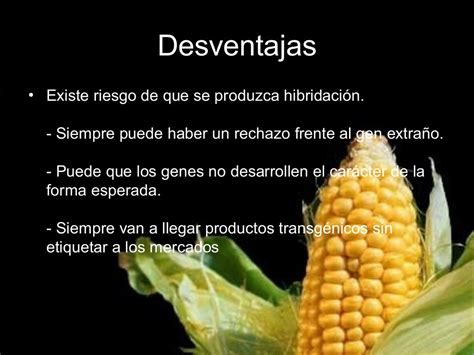 Ventajas Y Desventajas De Alimentos Transg Nicos