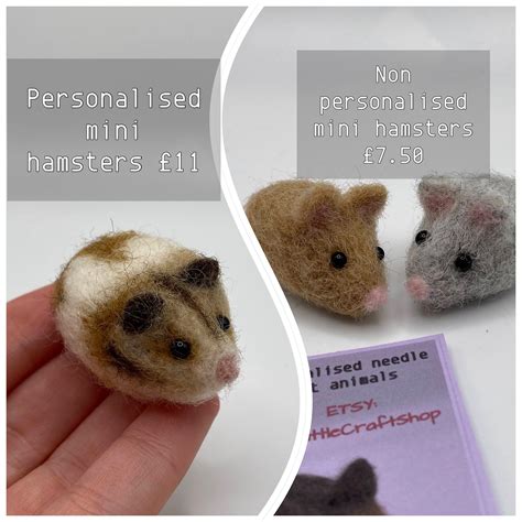 Mini Hamsters Ubicaciondepersonas Cdmx Gob Mx