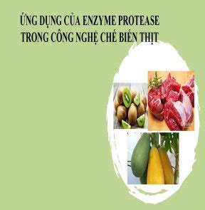 Ng D Ng C A Enzyme Protease Trong C Ng Ngh Ch Bi N Th T