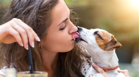 Elle Se Fait L Cher Par Son Chien Chien Nouvelles