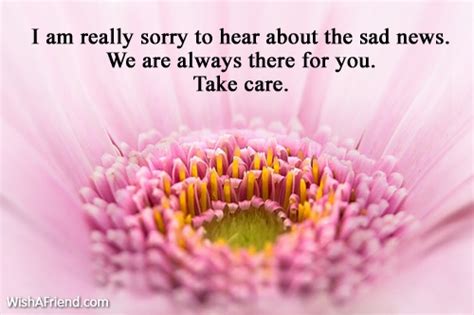 I Am Really Sorry To Hear Sympathy Message