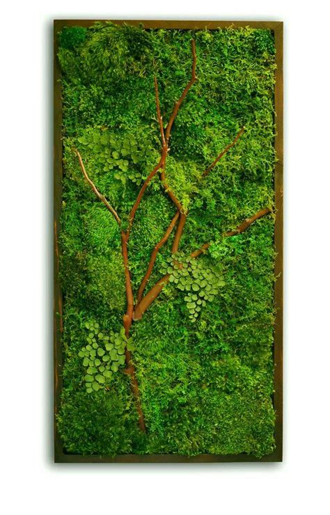 18x36 Moss Wall Art With Manzanita Branches Real Preserved Zero Care