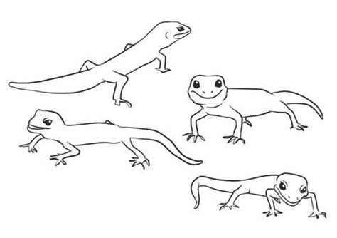 Free Vectors | Leopard gecko line drawing