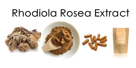 Natural Salidroside Powder Rosavins 3 Salidroside 1 Rhodiola Rosea Root Extract Buy Natural