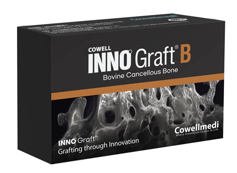 Synthetic bone substitute - INNO Graft B - Cowellmedi - for dental