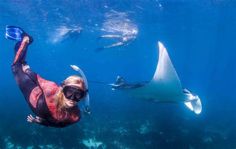 About Us Coral Bay Ecotours Ningaloo Reef Australia