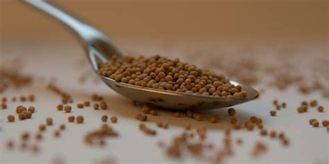 Ways To Consume Mustard Seeds Kisan Agro