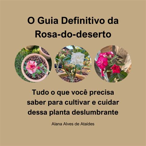 O Guia Definitivo Da Rosa Do Deserto Alana Alves De Ataides Hotmart