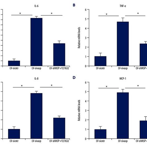 A D Ablation Of Vasp Increased Expressions Of Inflammatory