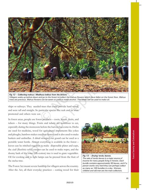 Ncert Book For Class History Chapter Forest Society