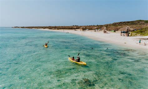 Aruba 5 Actividades Para Los Amantes De La Naturaleza Chef Hotel