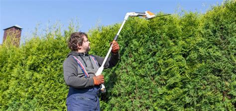 Ma Trisez Votre Jardin Guide D Achat Du Meilleur Taille Haies