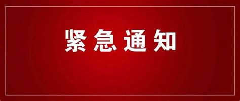 刚刚！廊坊新增1例！ 河北省 内容 感染者