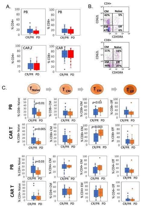 Cells Free Full Text Molecular And Functional Signatures Associated