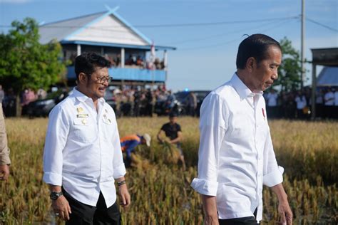 Presiden Jokowi Dan Mentan Syl Panen Raya Di Maros Sulsel